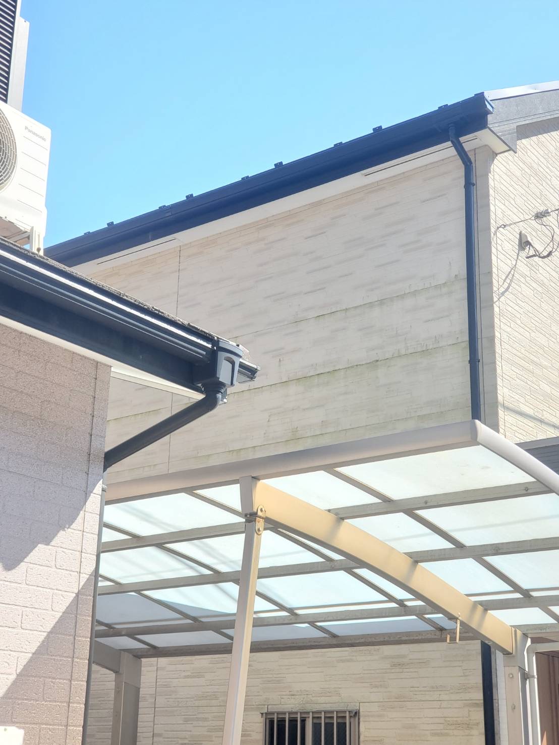 外壁に緑色のもの…それ、藻かも？